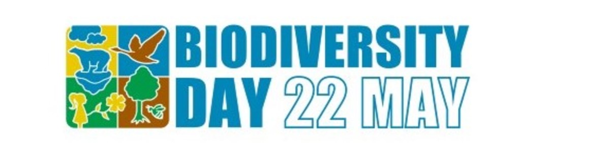 Medzinárodný deň biologickej diverzity (22.5.)