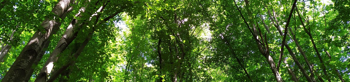 Wandering through Slovak natural heritage