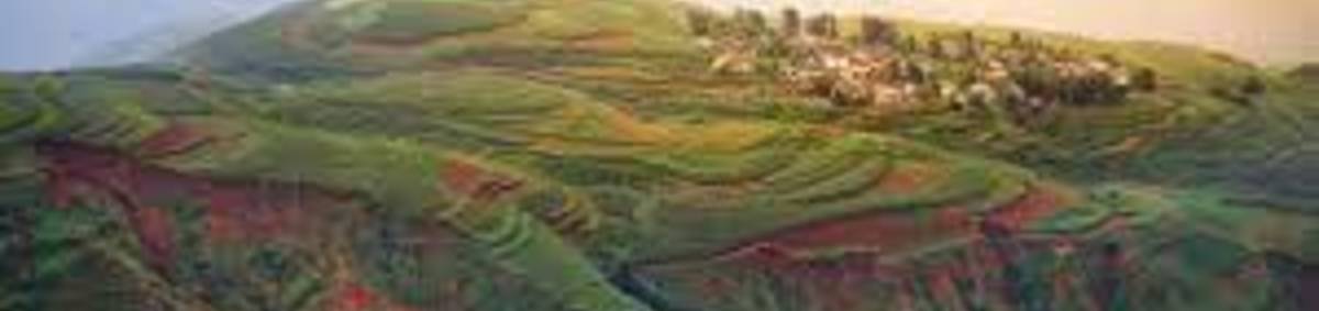 Naša planéta, naša budúcnosť: UNESCO fórum o biodiverzite